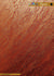 adicolor showeffectdecordek_cartella colore_18 
